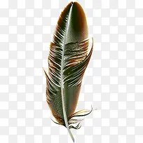 �ֻ���ë-������