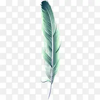 手绘羽毛-空若网 手绘羽毛-空若网