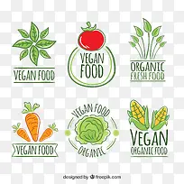 矢量蔬菜-空若网 矢量蔬菜-空若网