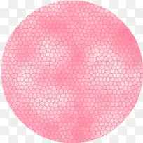 comentario共享博客洋红资源-Circulo-空若网 comentario共享博客洋红资源-Circulo-空若网