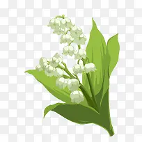 ��ɫ�����-������