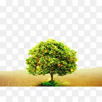 卡通许愿树-空若网 卡通许愿树-空若网