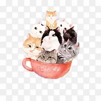 杯子中的猫-空若网 杯子中的猫-空若网