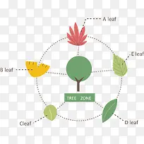 树叶类型说明图-空若网 树叶类型说明图-空若网