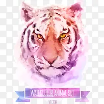 矢量彩绘老虎-空若网 矢量彩绘老虎-空若网