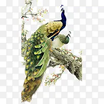 ²ÊÉ«¿×È¸ËØ²Ä±³¾°-¿ÕÈôÍø ²ÊÉ«¿×È¸ËØ²Ä±³¾°-¿ÕÈôÍø