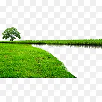 湿地-空若网 湿地-空若网