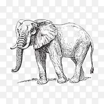 ���趯��-������