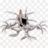 古门金刚,黄芩,数字星光-空若网 古门金刚,黄芩,数字星光-空若网