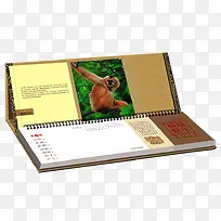 ����-������