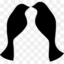 爱鸟壁虎夹艺术-爱情鸟-空若网 爱鸟壁虎夹艺术-爱情鸟-空若网