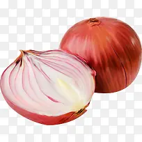 橙色漂亮洋葱-空若网 橙色漂亮洋葱-空若网