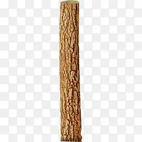 高清树木表面摄影效果-空若网 高清树木表面摄影效果-空若网