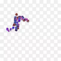 紫罗兰紫色紫红色珠宝首饰字体-花环-空若网 紫罗兰紫色紫红色珠宝首饰字体-花环-空若网