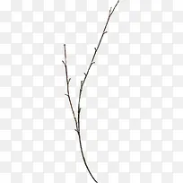 һ֧û�л������֦-������