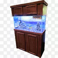 珊瑚礁水族馆加仑水族家具水池-鱼缸-空若网 珊瑚礁水族馆加仑水族家具水池-鱼缸-空若网