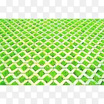 地砖里的草-空若网 地砖里的草-空若网