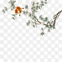 树枝-空若网 树枝-空若网