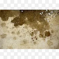 ����ˮ��ذ�-������