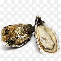 活海鲜空运进口法国吉拉多生蚝-空若网 活海鲜空运进口法国吉拉多生蚝-空若网