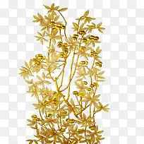 树枝-空若网 树枝-空若网