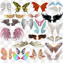 天使的翅膀图片-空若网 天使的翅膀图片-空若网