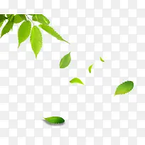 ��֦Ʈ����Ҷ-������