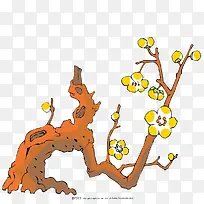 枯枝黄梅-空若网 枯枝黄梅-空若网