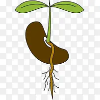 ����ɫ�������Ӳ���-������