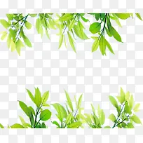 ���⻨��-������