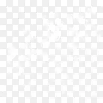 漂浮白色花朵-空若网 漂浮白色花朵-空若网