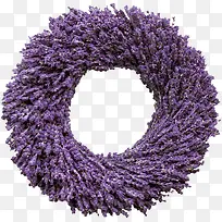 ��ɫ޹�²ݻ�Ȧ-������