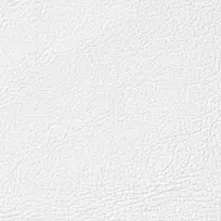 ��ɫƤ�ﱳ��-������