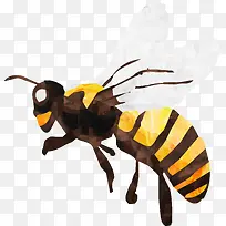 蜜蜂-空若网 蜜蜂-空若网