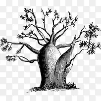 黑白大肚树-空若网 黑白大肚树-空若网