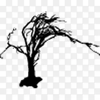 ¿ÝÌÙÀÏÊ÷-¿ÕÈôÍø ¿ÝÌÙÀÏÊ÷-¿ÕÈôÍø