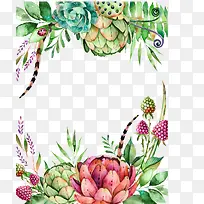 国外手绘水彩多肉植物昆虫花-空若网 国外手绘水彩多肉植物昆虫花-空若网