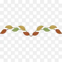 ��Ҷ�����-������