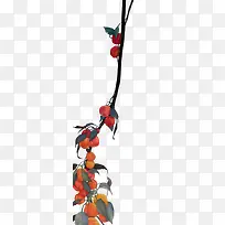 �ֻ泤����ʵ����֦-������