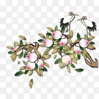 ����֦������-������