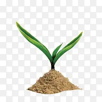 С²Ý-¿ÕÈôÍø С²Ý-¿ÕÈôÍø