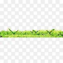 绿草-空若网 绿草-空若网