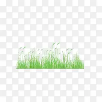 小草-空若网 小草-空若网