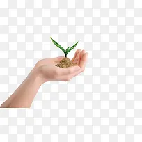 手捧小草-空若网 手捧小草-空若网