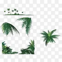 各种绿色小草素材-空若网 各种绿色小草素材-空若网