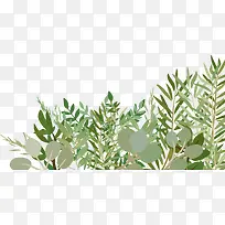 卡通手绘绿色小草-空若网 卡通手绘绿色小草-空若网