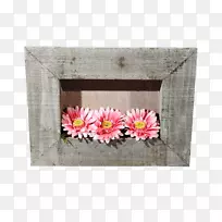 长方形花瓣相框.肉质边缘-空若网 长方形花瓣相框.肉质边缘-空若网