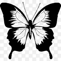 ºûµû¼ôÓ°ËØ²Ä-¿ÕÈôÍø ºûµû¼ôÓ°ËØ²Ä-¿ÕÈôÍø