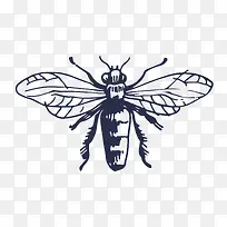 昆虫剪影-空若网 昆虫剪影-空若网