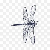 昆虫剪影-空若网 昆虫剪影-空若网